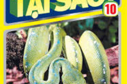 Hày trả lời em TẠI SAO?10