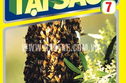 Hày trả lời em TẠI SAO? 7