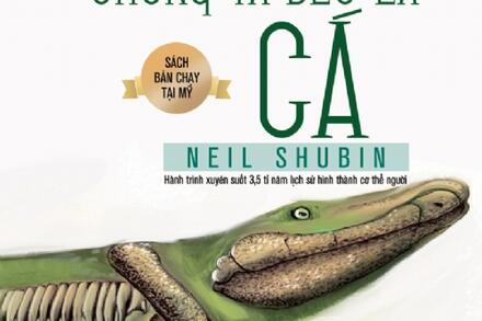 Tất cả chúng ta đều là cá