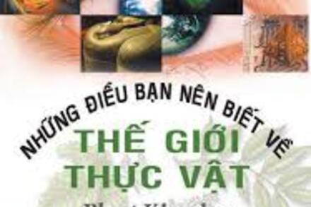 NHỮNG ĐIỀU BẠN NÊN BIẾT VỀ THẾ GIỚI THỰC VẬT