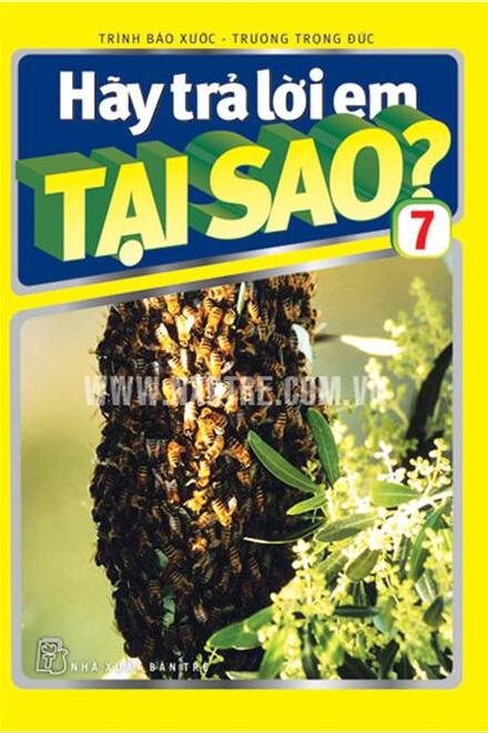 Hày trả lời em TẠI SAO? 7