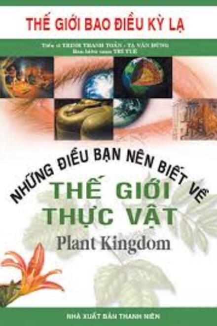 NHỮNG ĐIỀU BẠN NÊN BIẾT VỀ THẾ GIỚI THỰC VẬT
