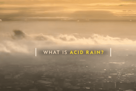 Mưa acid