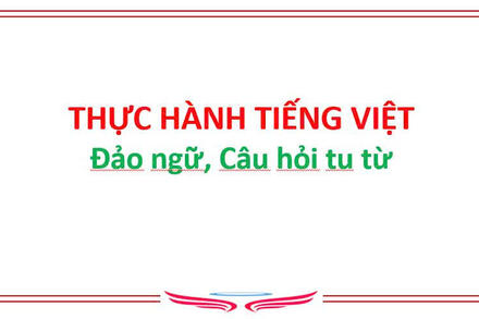 Bài 6: Thực hành Tiếng Việt - Đảo ngữ, Câu hỏi tu từ