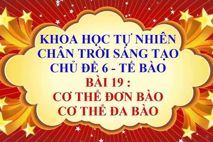 Bài 19. Cơ thể đơn bào và cơ thể đa bào
