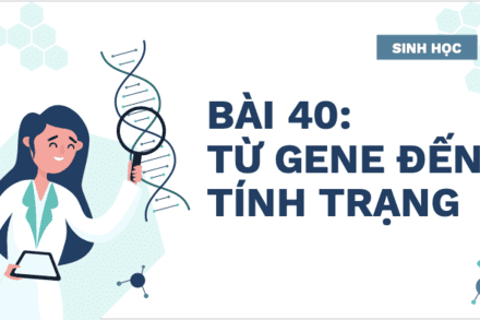 BÀI 40: TỪ GENE ĐẾN TÍNH TRẠNG