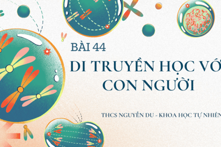KHTN 9 - Bài 44. Di truyền học với con người