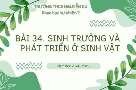 BÀI 34 - SINH TRƯỞNG VÀ PHÁT TRIỂN Ở SINH VẬT