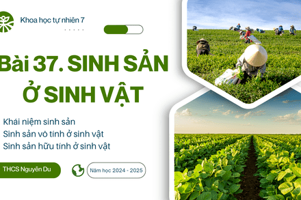 BÀI 37 - SINH SẢN Ở SINH VẬT