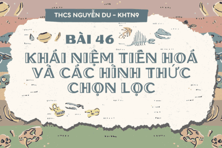 KHTN 9 - Bài 46. Khái niệm về tiến hóa và các hình thức chọn lọc