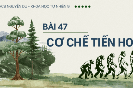BÀI 47. CƠ CHẾ TIẾN HOÁ