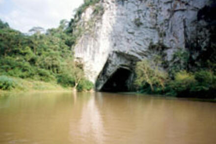 THỤC VẬT