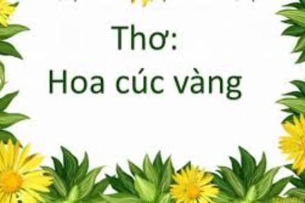 Bài thơ Hoa cúc vàng