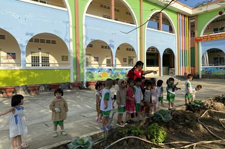 Mầm 1 tìm hiểu một số cây xanh ở sân trường