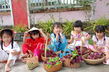 hoạt động thu hoạch rau