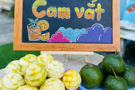 HĐ trải nghiệm lớp Chồi 1 "Cam vắt"