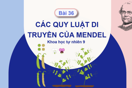 Bài 36: Các quy luật di truyền của Mendel