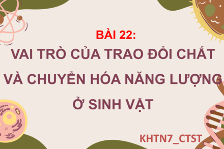Bài 22: Vai trò của trao đổi chất và chuyển hóa năng lượng