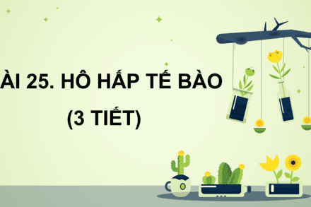 Bài 25- Hô hấp tế bào