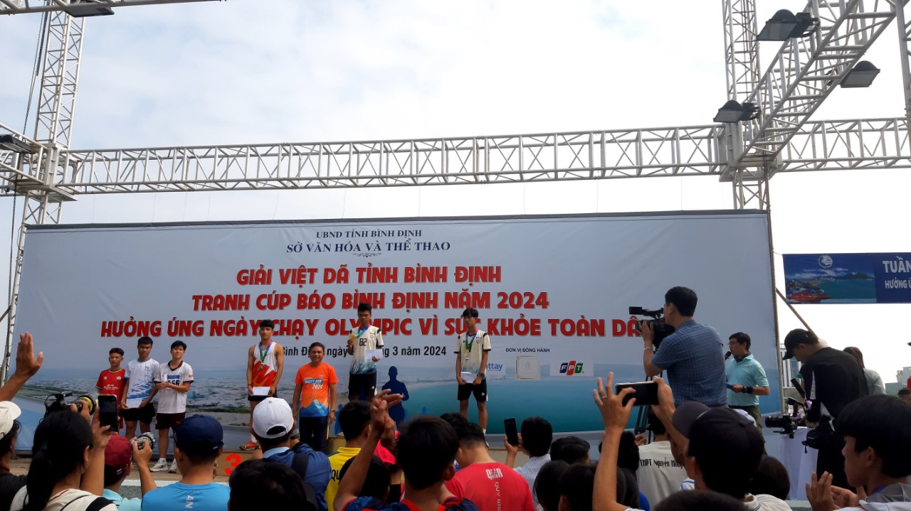 Hinh_anh_hoc_sinh_dat_giai_tai_giai_viet_da_tinh_Binh_Dinh_nam_2024_08496
